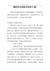 镇财务自查报告范例(3篇)