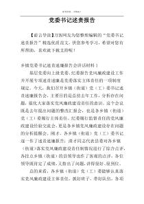 党委书记述责报告