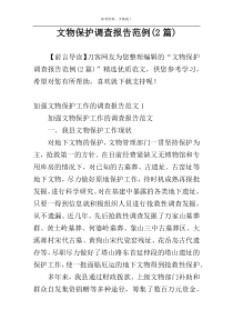 文物保护调查报告范例(2篇)
