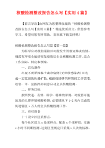 核酸检测整改报告怎么写【实用4篇】