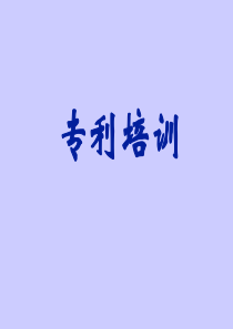 专利培训材料_行政公文_工作范文_实用文档