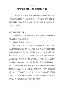 风景这边独好作文精编4篇