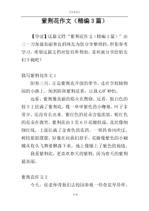 紫荆花作文（精编3篇）