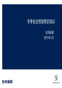 东风标致冬季安全驾驶常识培训