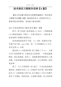 技术部实习期报告范例【4篇】
