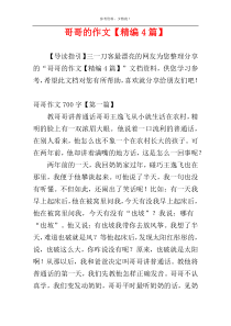 哥哥的作文【精编4篇】