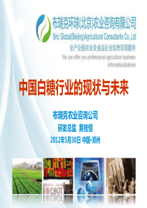 中国白糖行业的现状与未来-布瑞克-郑商所培训会