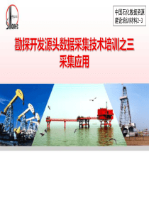 中国石化数据资源建设培训材料-勘探开发源头数据采集技