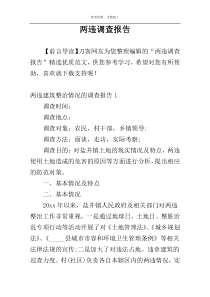 两违调查报告