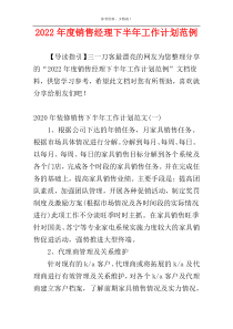 2022年度销售经理下半年工作计划范例