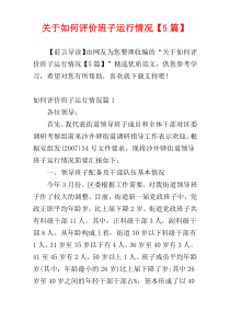 关于如何评价班子运行情况【5篇】