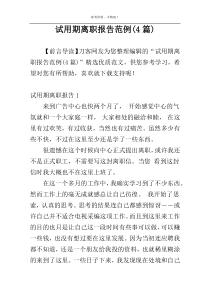 试用期离职报告范例(4篇)