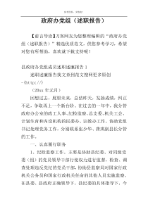 政府办党组（述职报告）