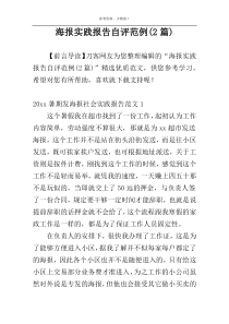 海报实践报告自评范例(2篇)