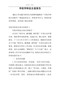 学校学转促自查报告