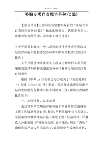补贴专项自查报告范例(2篇)