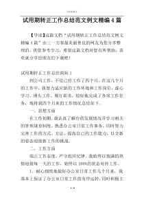 试用期转正工作总结范文例文精编4篇