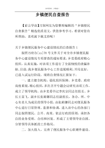 乡镇便民自查报告