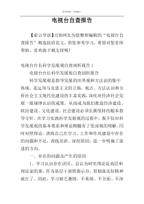 电视台自查报告