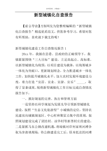 新型城镇化自查报告