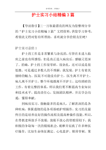 护士实习小结精编3篇