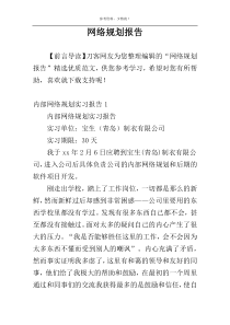 网络规划报告