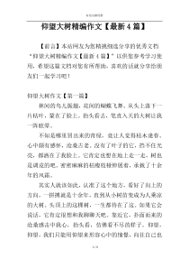 仰望大树精编作文【最新4篇】