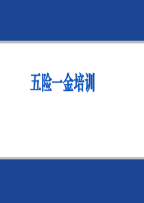 五险一金使用培训PPT（PPT48页）
