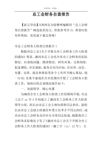 总工会财务自查报告