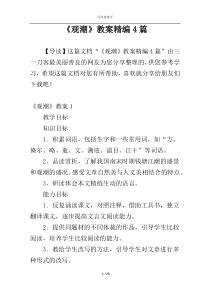 《观潮》教案精编4篇