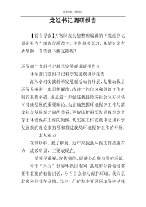 党组书记调研报告