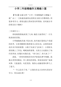 小学二年级精编作文精编3篇