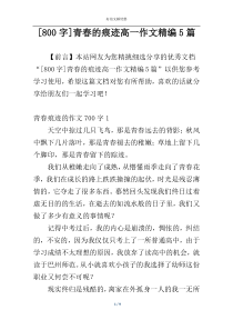 [800字]青春的痕迹高一作文精编5篇