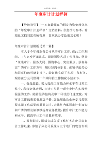 年度审计计划样例