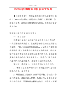 [3000字]客服实习报告范文范例