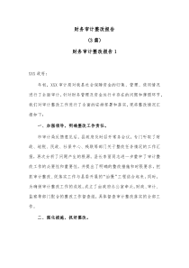 3篇财务审计整改报告