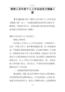 销售人员年度个人工作总结范文精编2篇