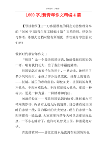 [600字]新青年作文精编4篇