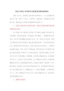 2022年度公司党委书记抓基层党建述职报告
