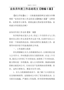 业务员年度工作总结范文【精编5篇】