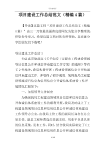 项目建设工作总结范文（精编4篇）