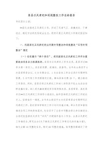 某县正风肃纪和巡视整改工作总结报告