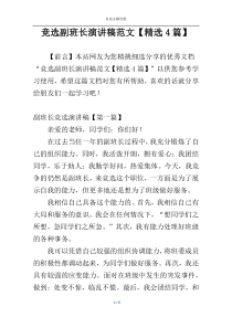 竞选副班长演讲稿范文【精选4篇】