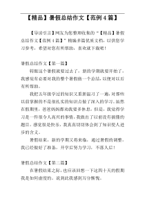 【精品】暑假总结作文【范例4篇】