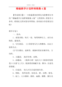 精编教学计划样例锦集4篇