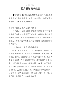 团员思想调研报告