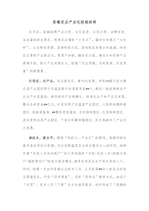某镇农业产业化经验材料