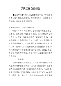 学院工作自查报告