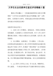 大学生社会实践单位鉴定评语精编3篇
