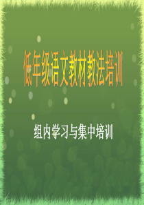 低年级语文教材教法培训